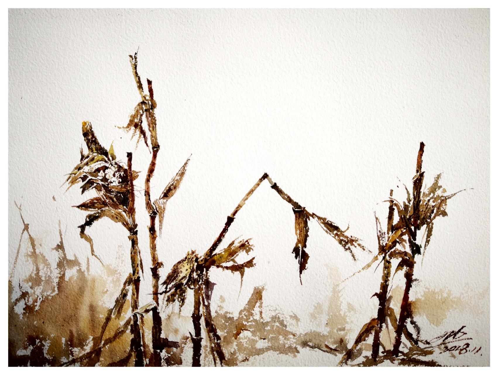 玉米杆的孤傲                               31*21cm